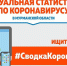 По состоянию на 23:00 23.04.2020 в Мурманской области подтверждено 663* случая заболевания коронавирусом - Кандалакшский район