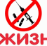 Управление МВД России по Мурманской области информирует о профилактике наркомании - Кандалакшский район