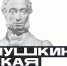 Пушкинской карте – 1 ГОД! - Управление образования