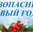 Полицейские в преддверии новогодних и рождественских праздников просят не забывать о мерах предосторожности - Кандалакшский район