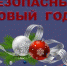 Полицейские в преддверии новогодних и рождественских праздников просят не забывать о мерах предосторожности - Кандалакшский район