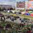 Выставка-продажа «Северное лето» - Кандалакшский район