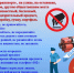 Полиция обращает внимание граждан! - Кандалакшский район