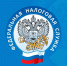 Управление Федеральной налоговой службы по Мурманской области информирует о способах уплаты налогов физическими лицами. - Кандалакшский район
