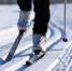 ski - Кандалакшский район